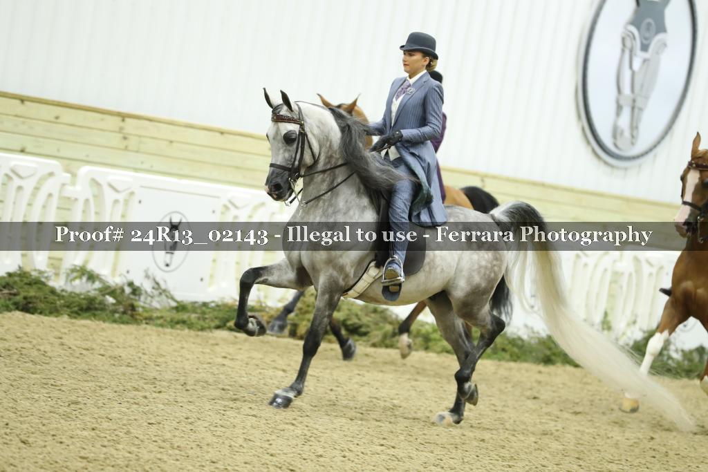 Proof 24R13_02143