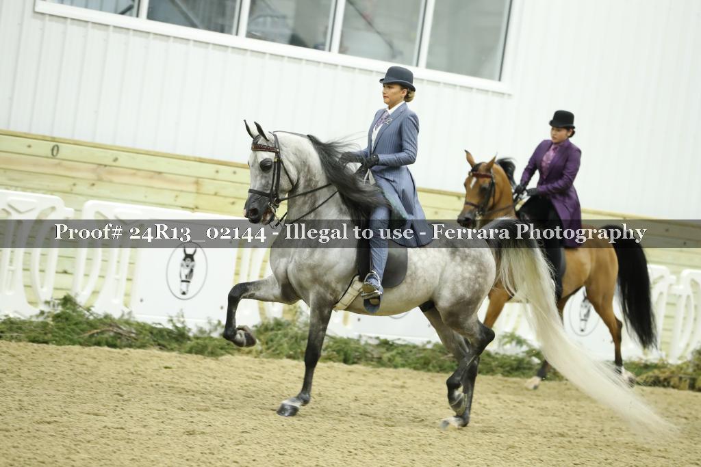 Proof 24R13_02144