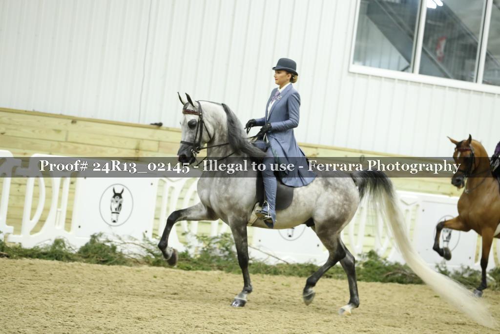 Proof 24R13_02145