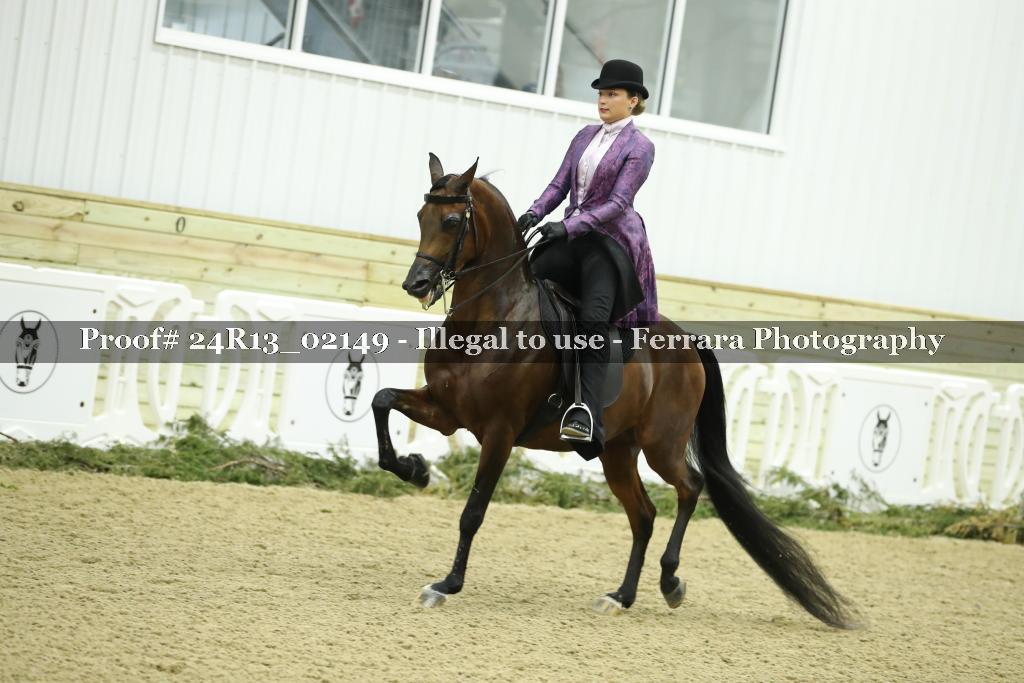 Proof 24R13_02149