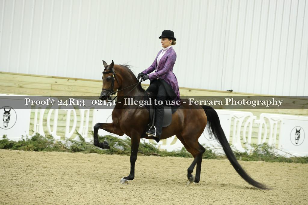 Proof 24R13_02151