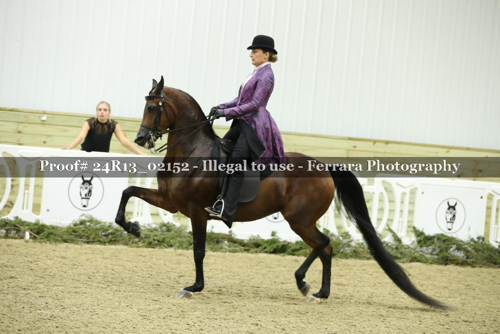 Proof 24R13_02152