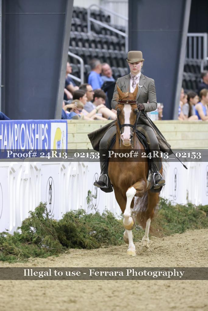 Proof 24R13_02153
