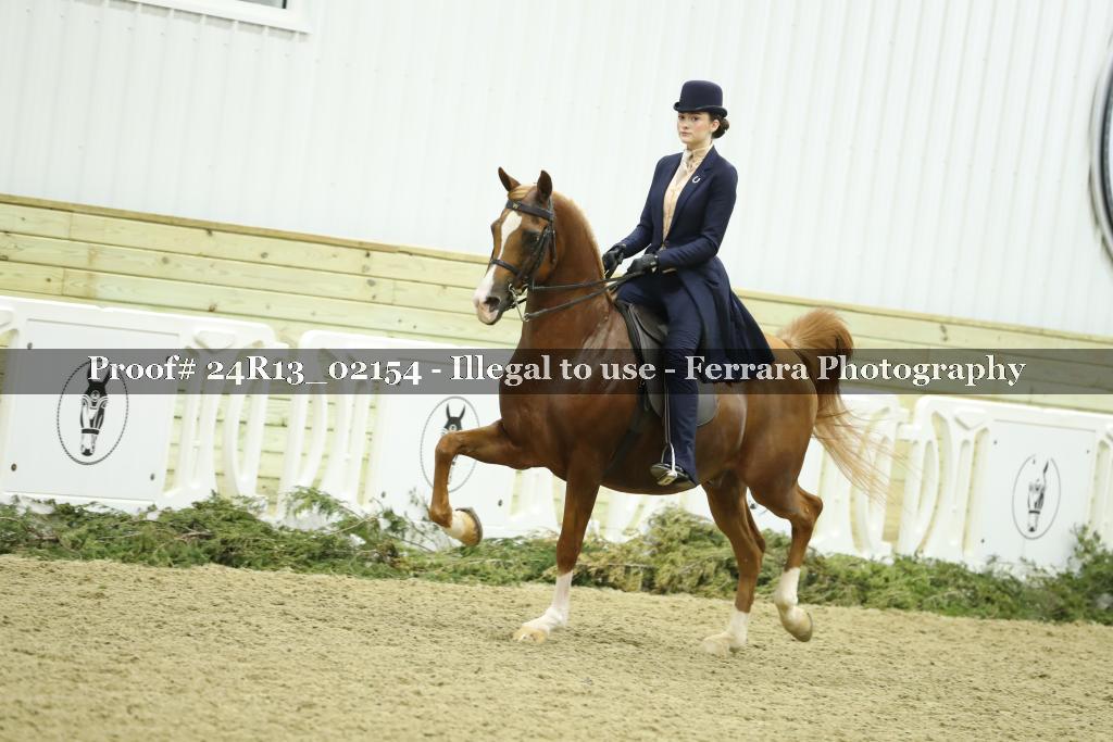 Proof 24R13_02154