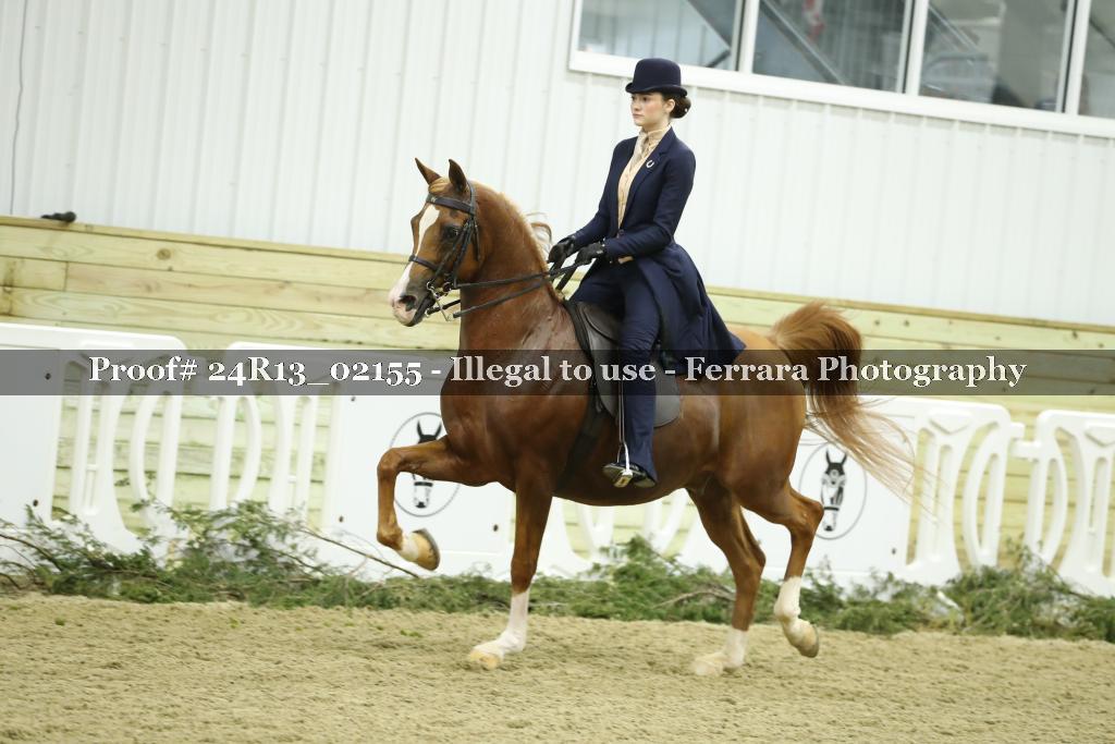 Proof 24R13_02155