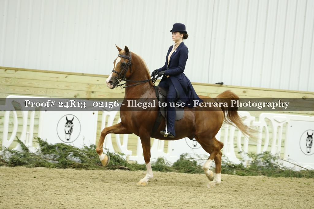 Proof 24R13_02156