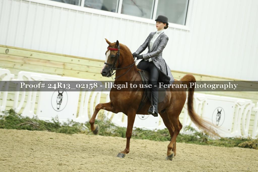 Proof 24R13_02158
