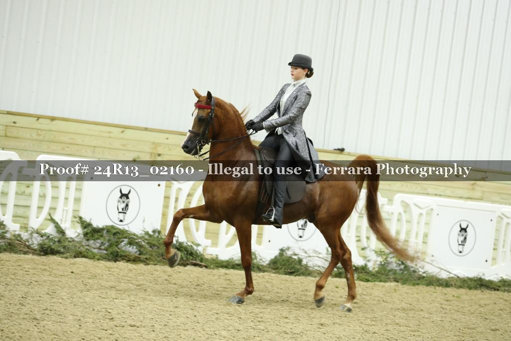 Proof 24R13_02160