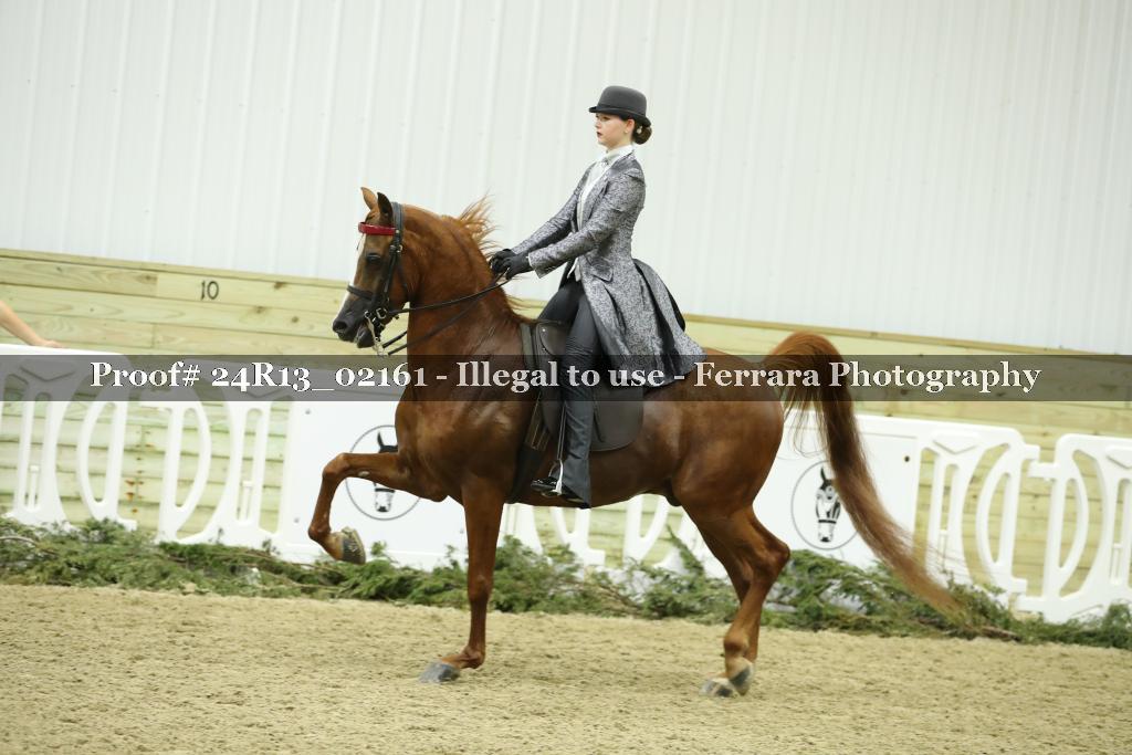 Proof 24R13_02161