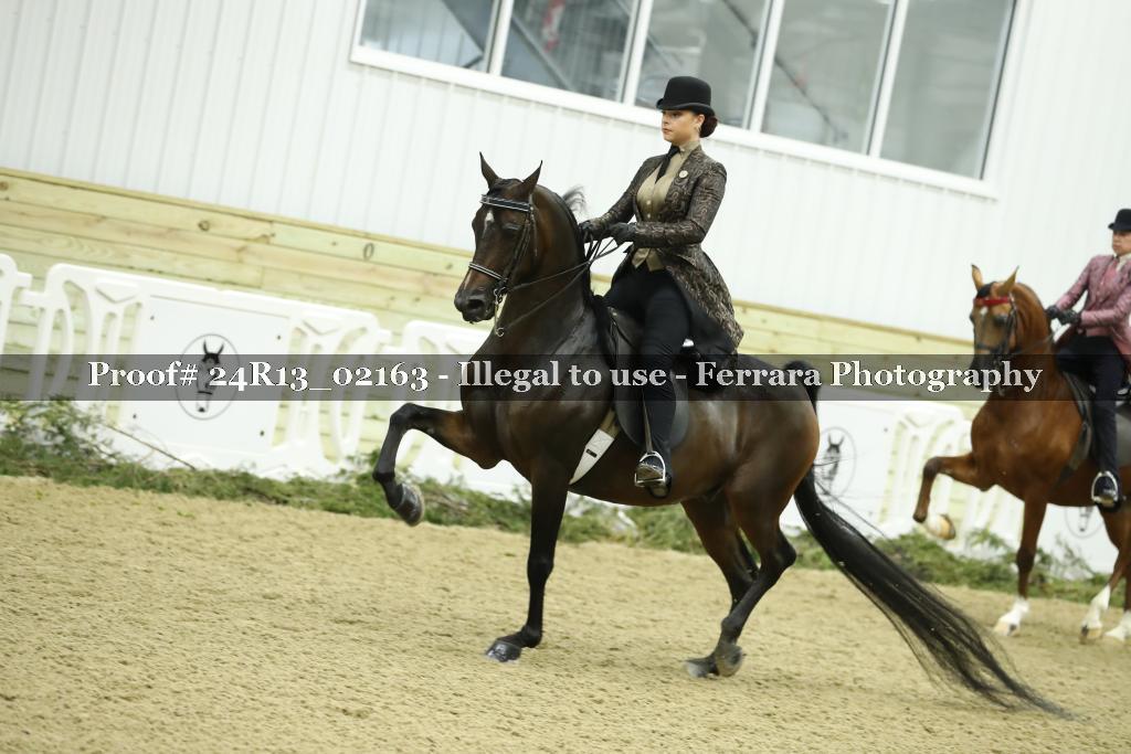 Proof 24R13_02163