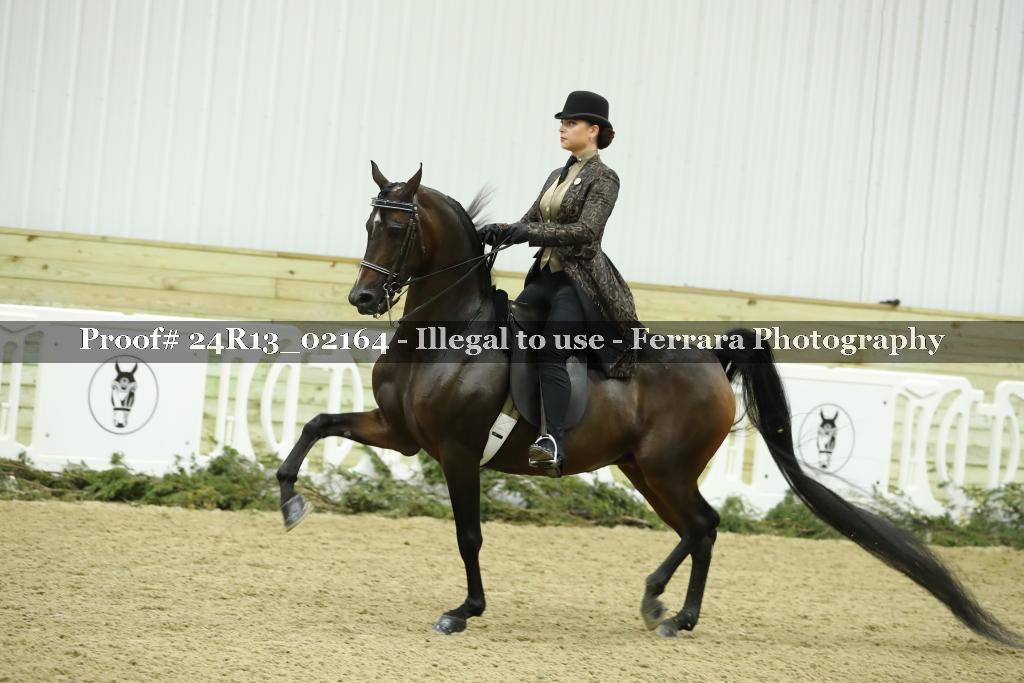 Proof 24R13_02164