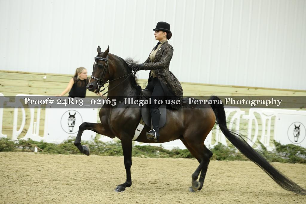 Proof 24R13_02165