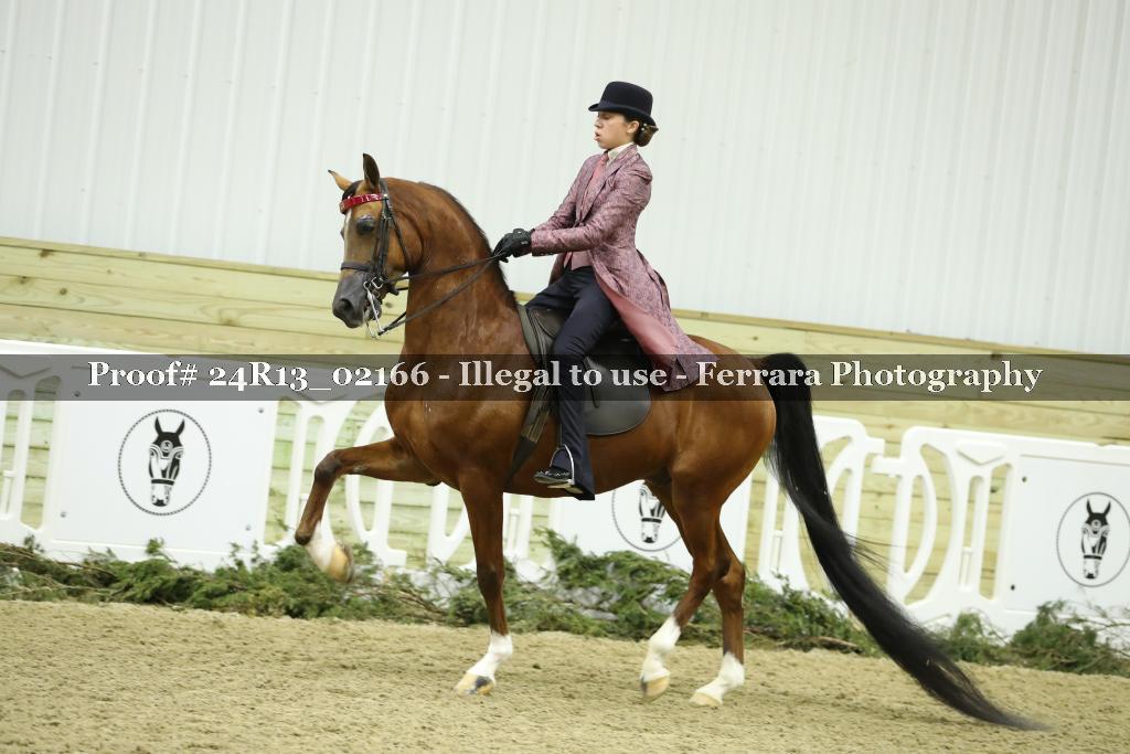 Proof 24R13_02166