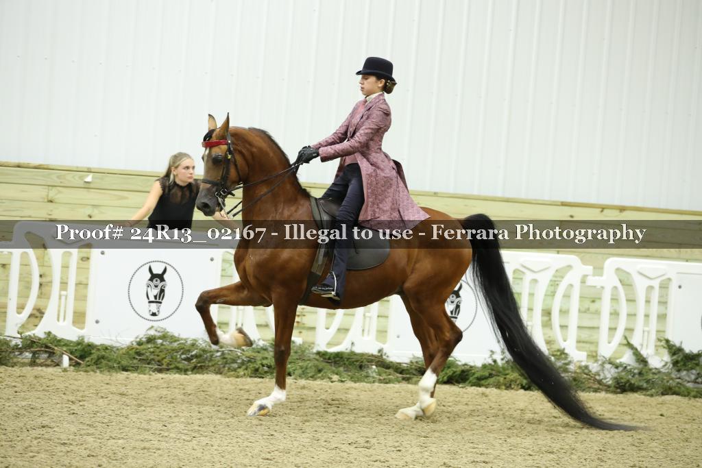 Proof 24R13_02167