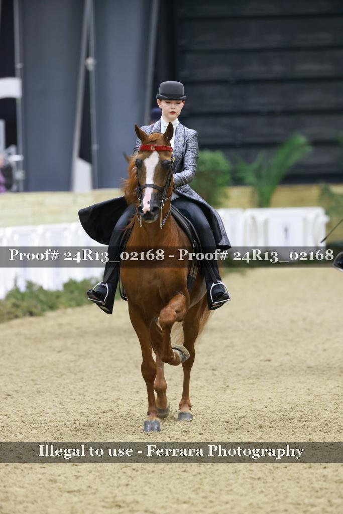 Proof 24R13_02168