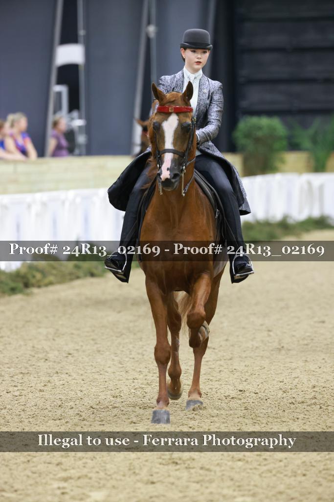 Proof 24R13_02169
