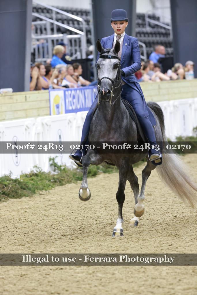 Proof 24R13_02170