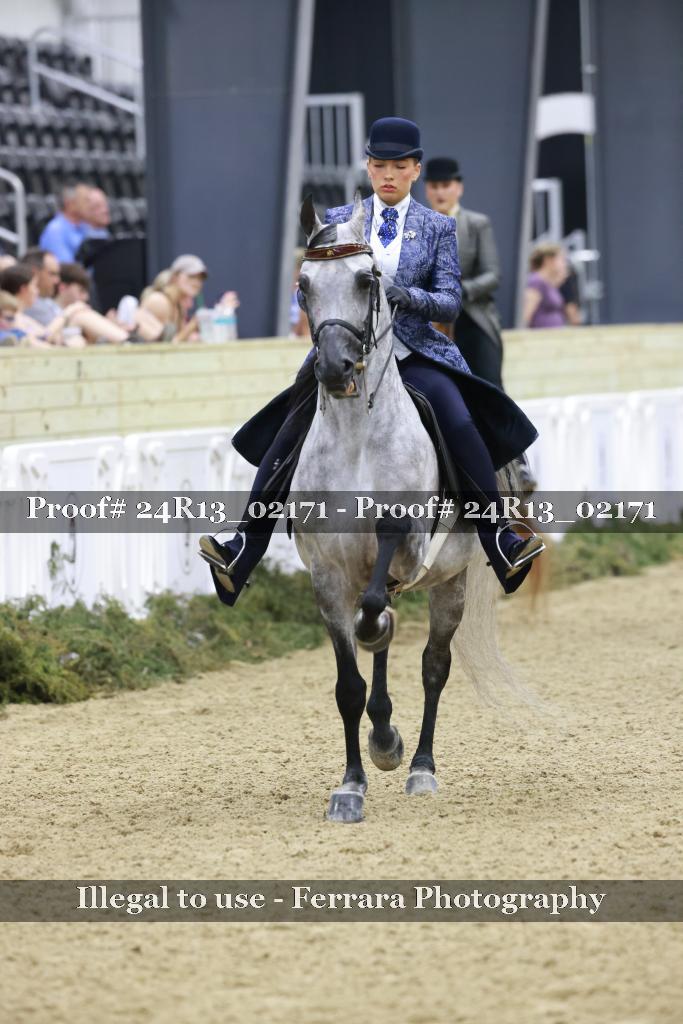 Proof 24R13_02171