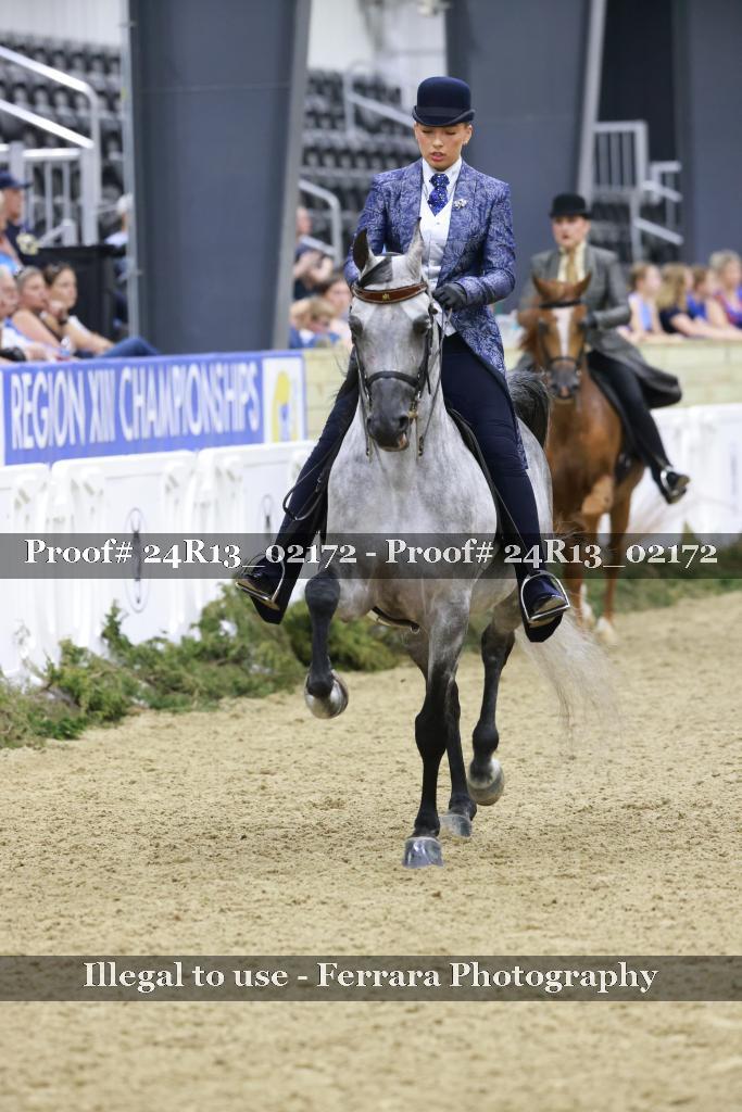 Proof 24R13_02172
