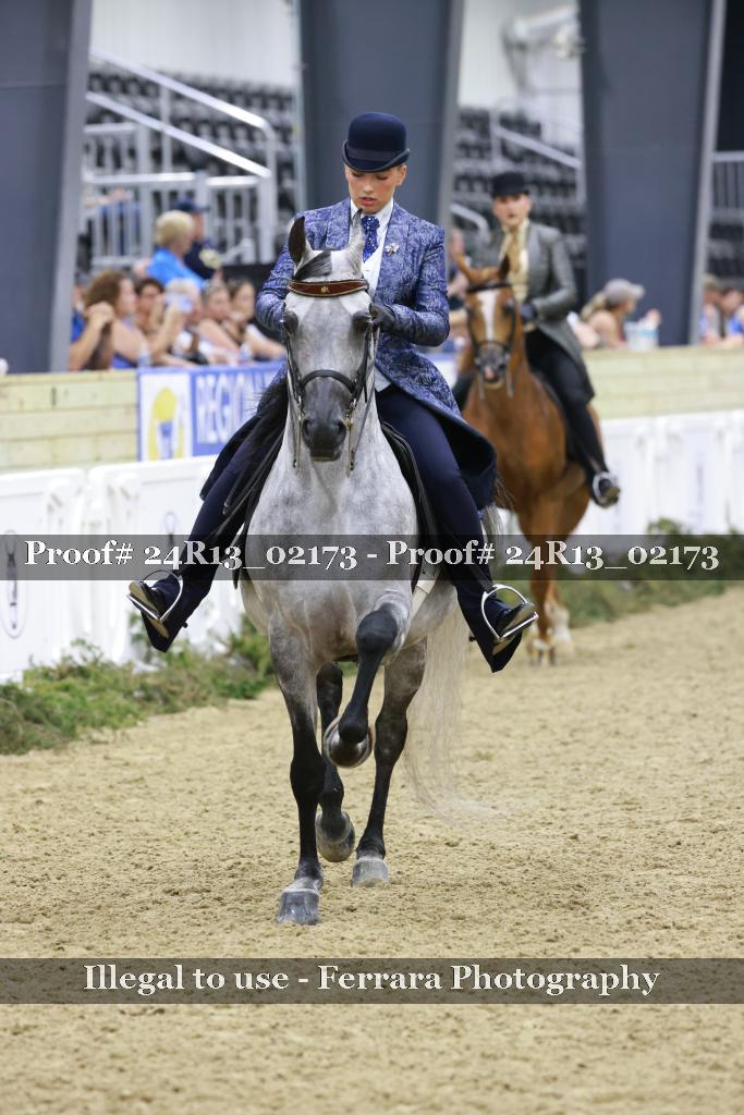 Proof 24R13_02173