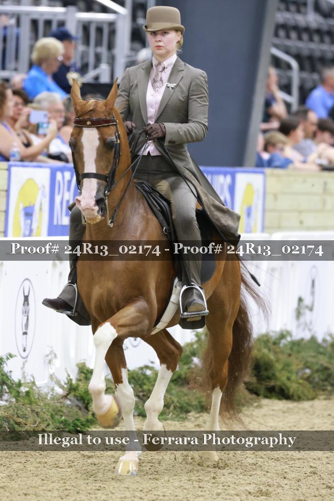 Proof 24R13_02174