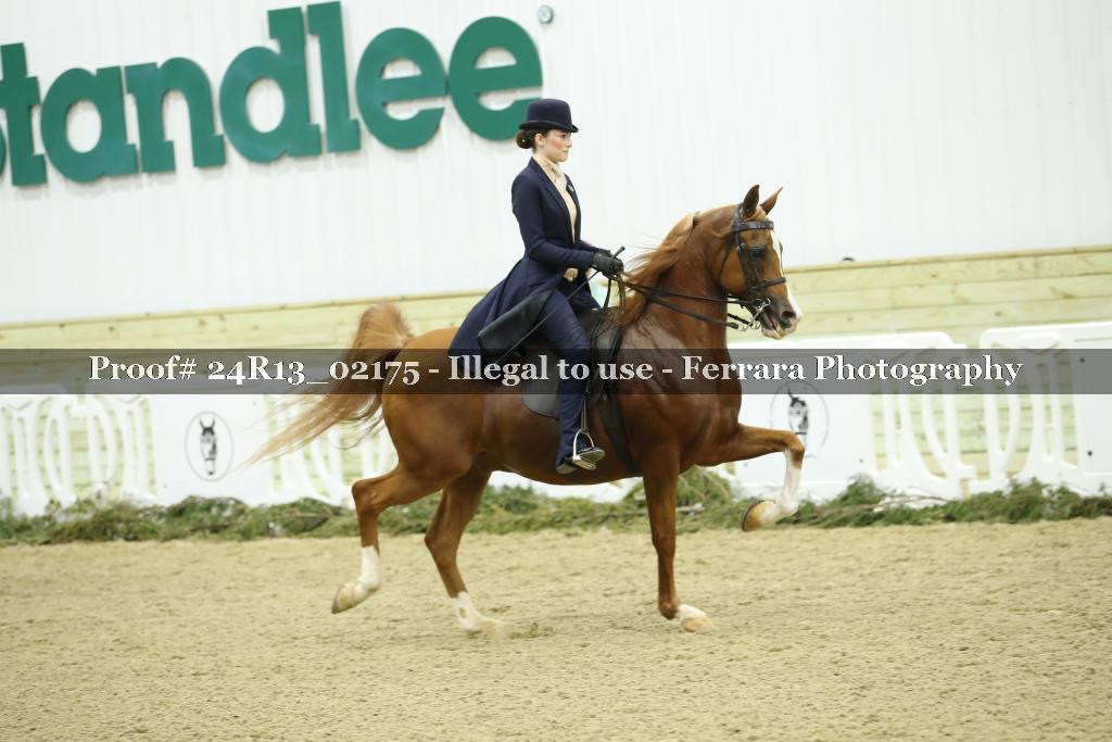 Proof 24R13_02175
