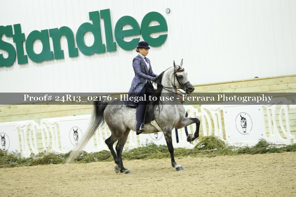 Proof 24R13_02176
