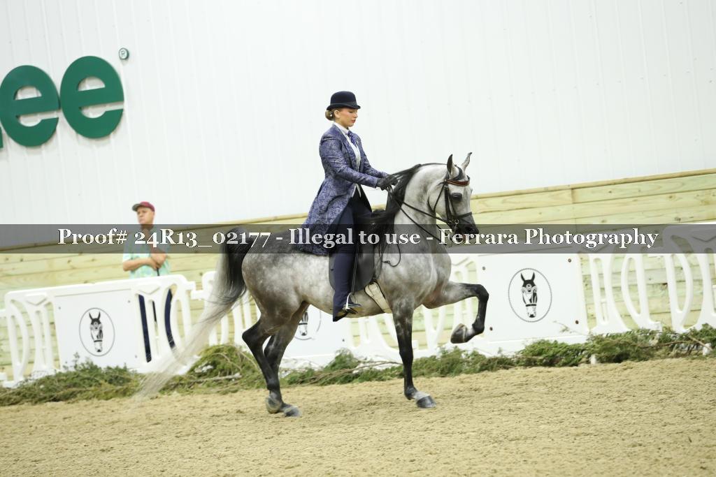 Proof 24R13_02177