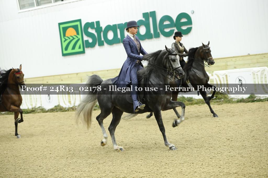 Proof 24R13_02178