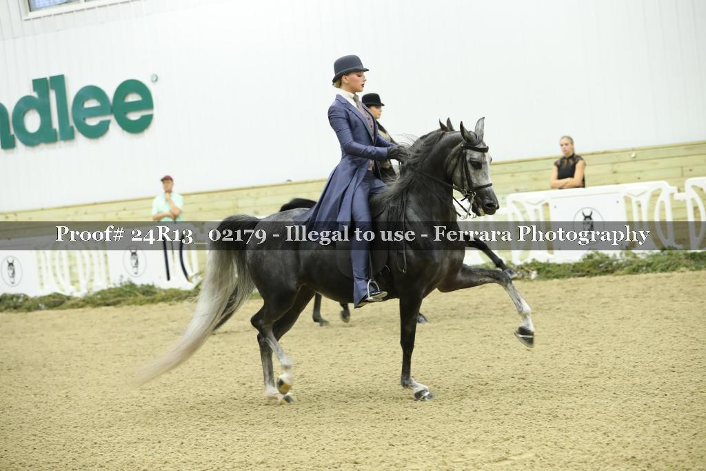 Proof 24R13_02179