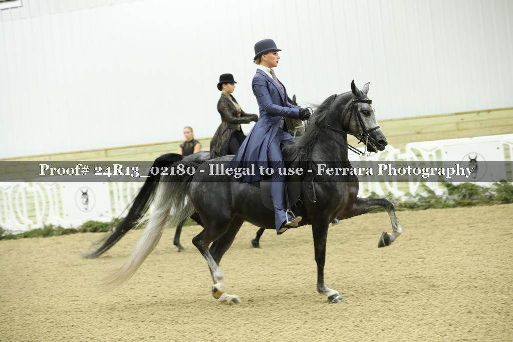 Proof 24R13_02180