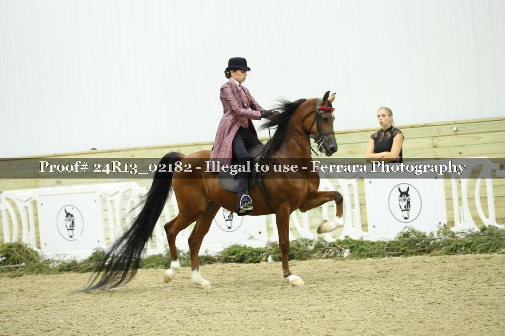 Proof 24R13_02182