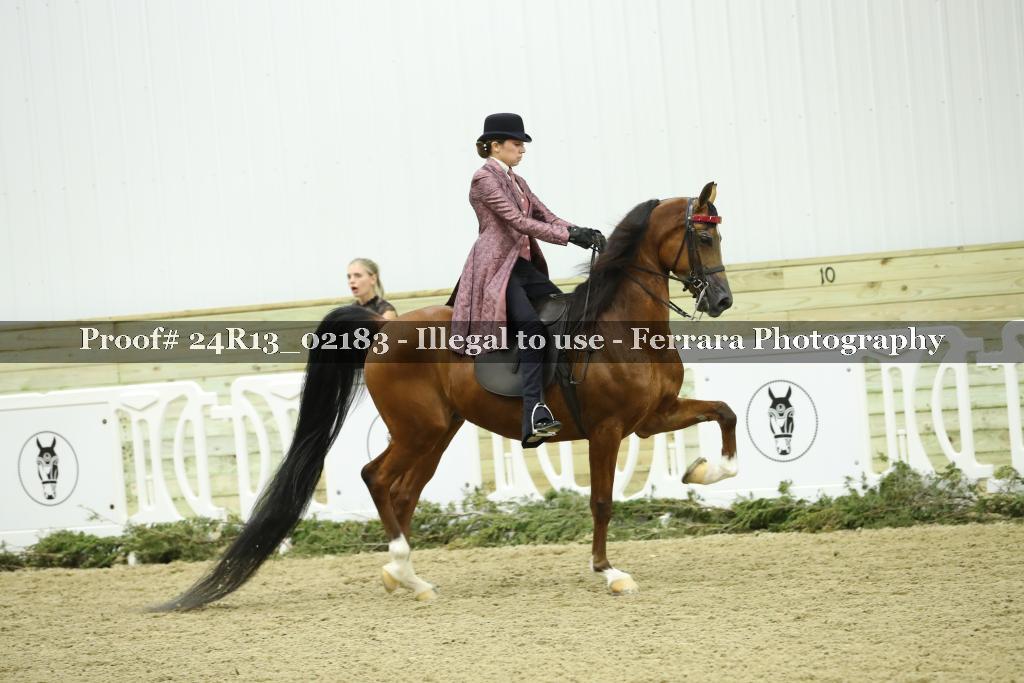 Proof 24R13_02183
