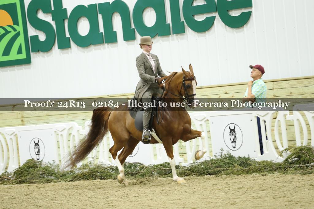 Proof 24R13_02184