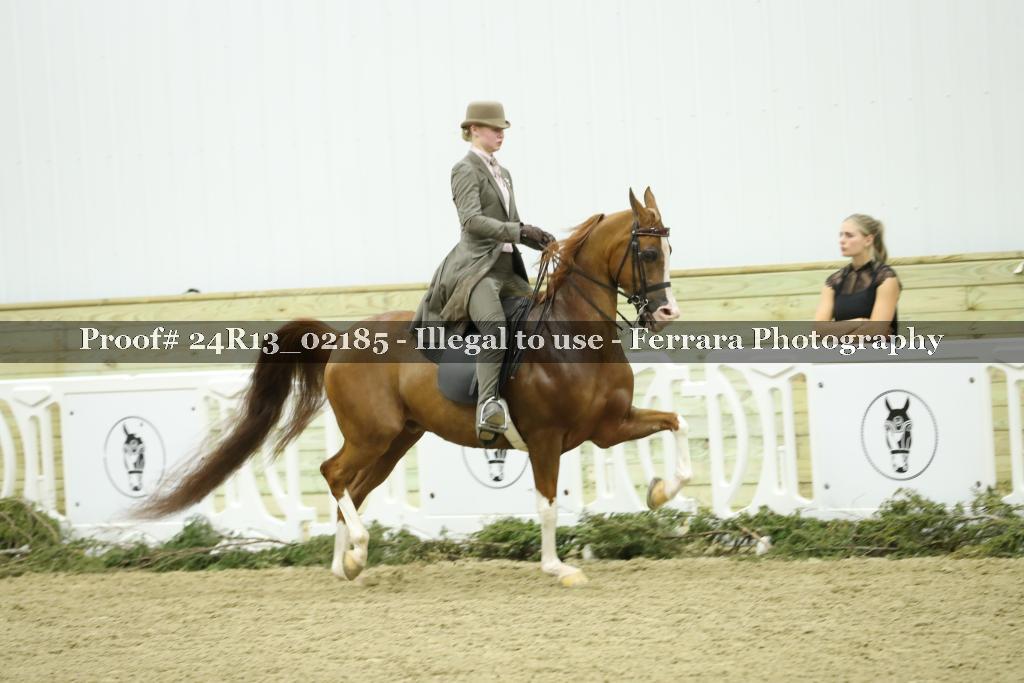 Proof 24R13_02185