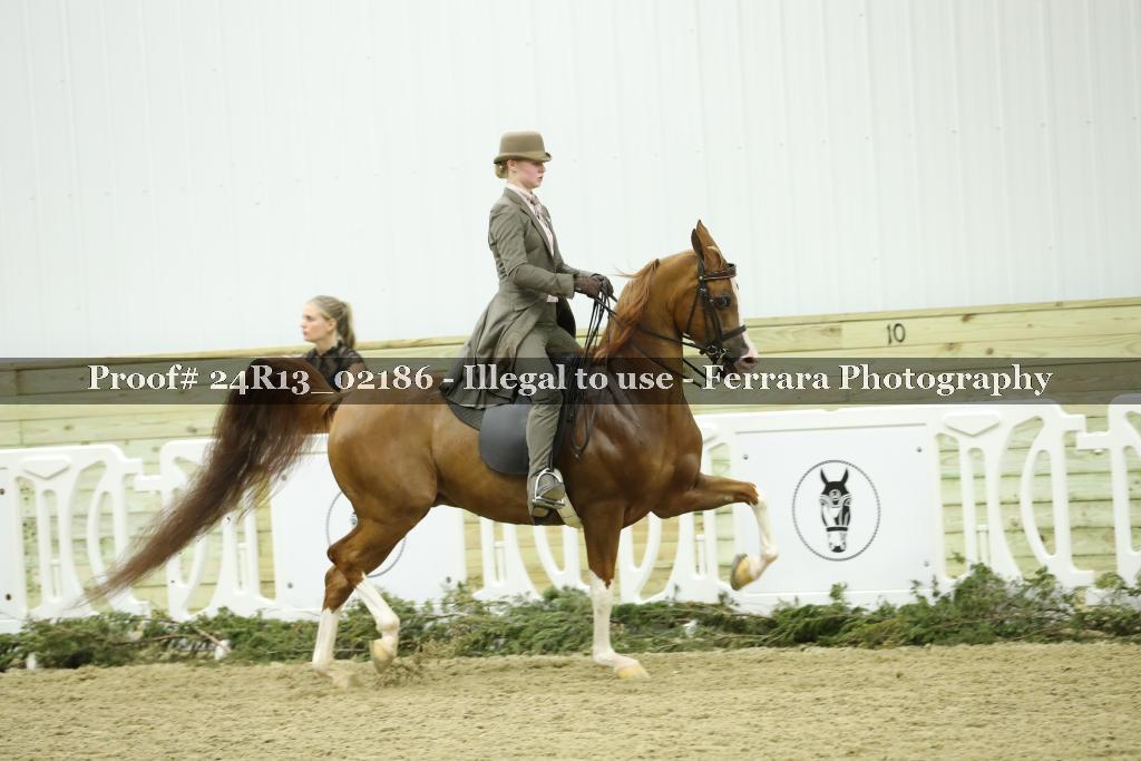Proof 24R13_02186