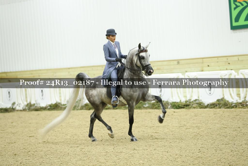 Proof 24R13_02187