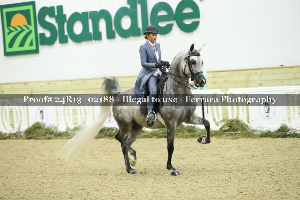 Proof 24R13_02188
