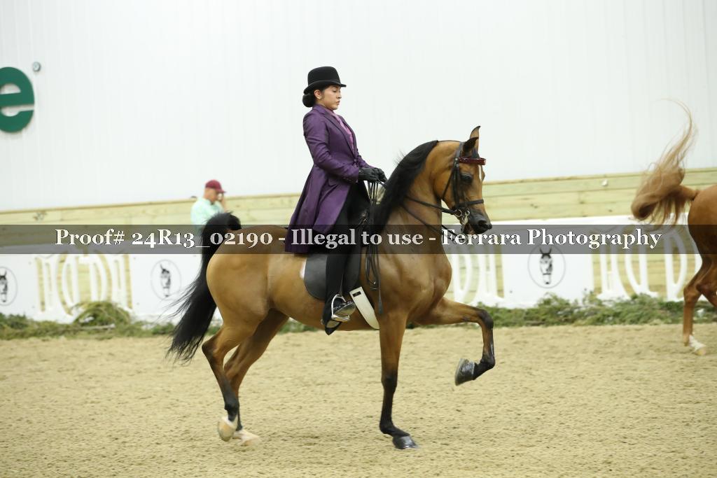 Proof 24R13_02190