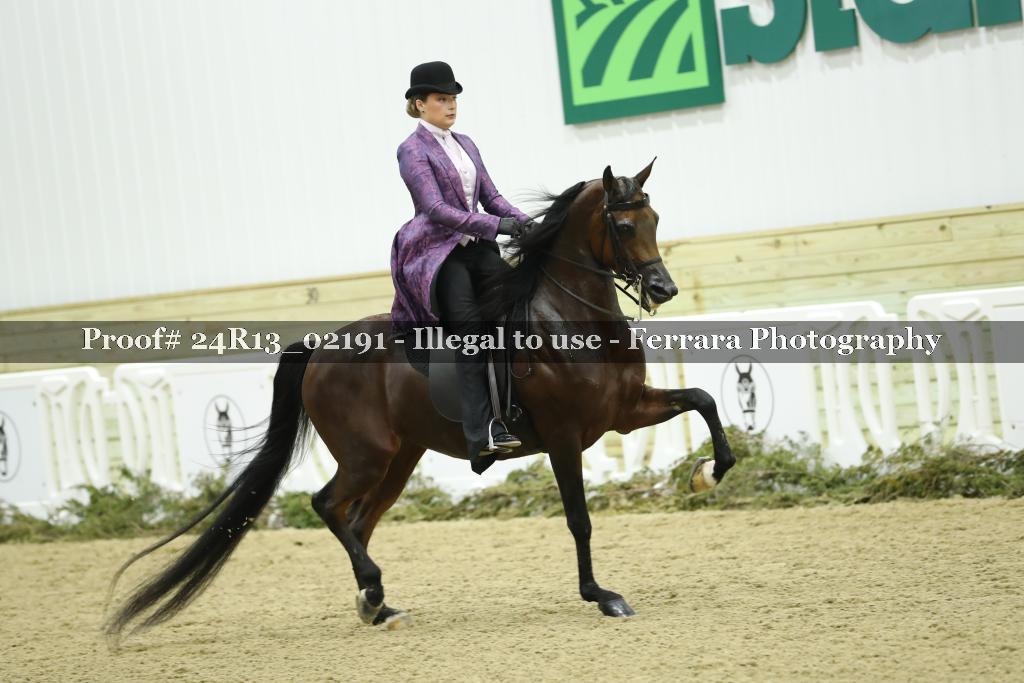 Proof 24R13_02191