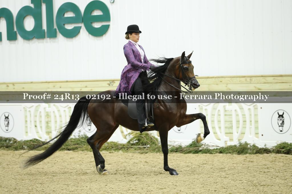 Proof 24R13_02192