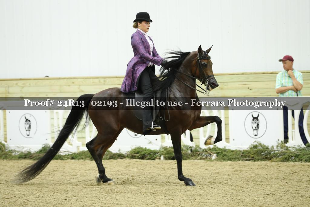 Proof 24R13_02193