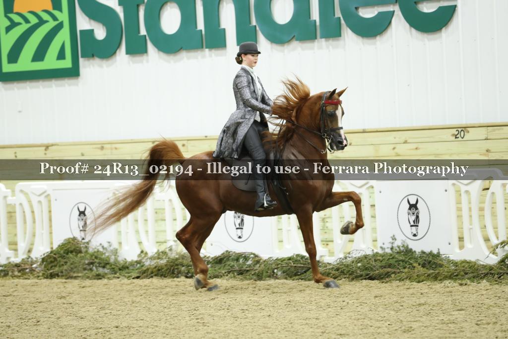 Proof 24R13_02194