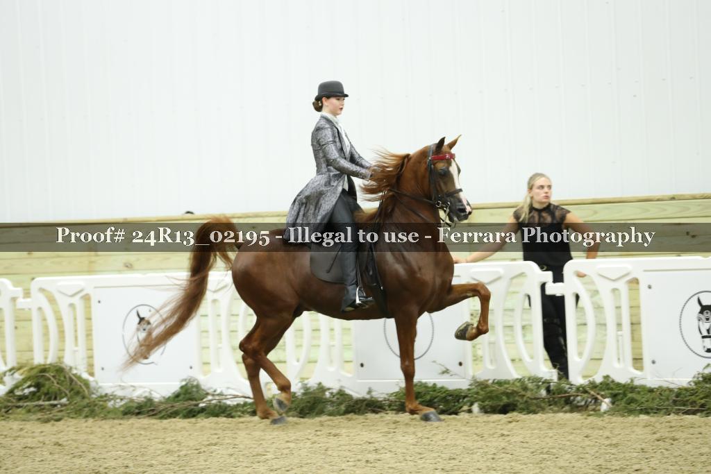 Proof 24R13_02195