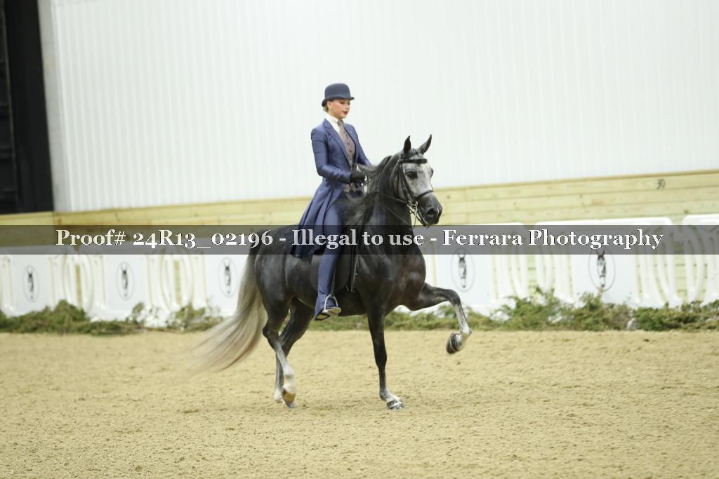 Proof 24R13_02196