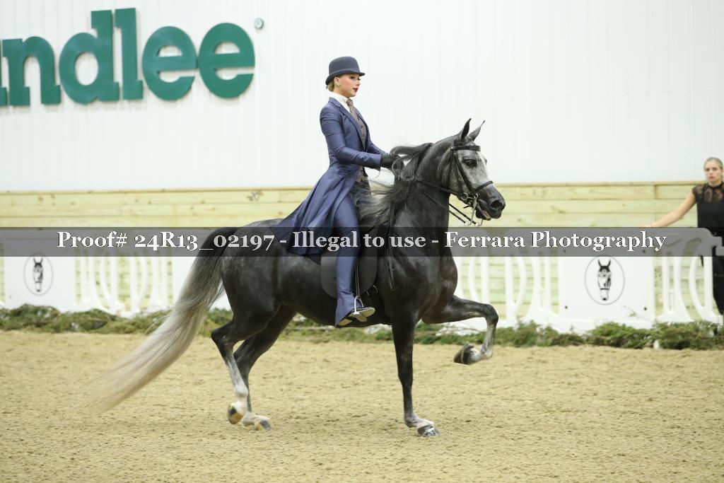 Proof 24R13_02197
