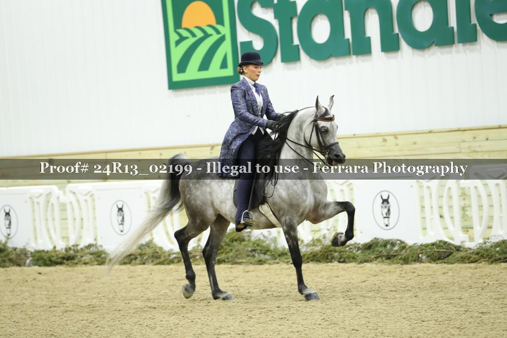 Proof 24R13_02199
