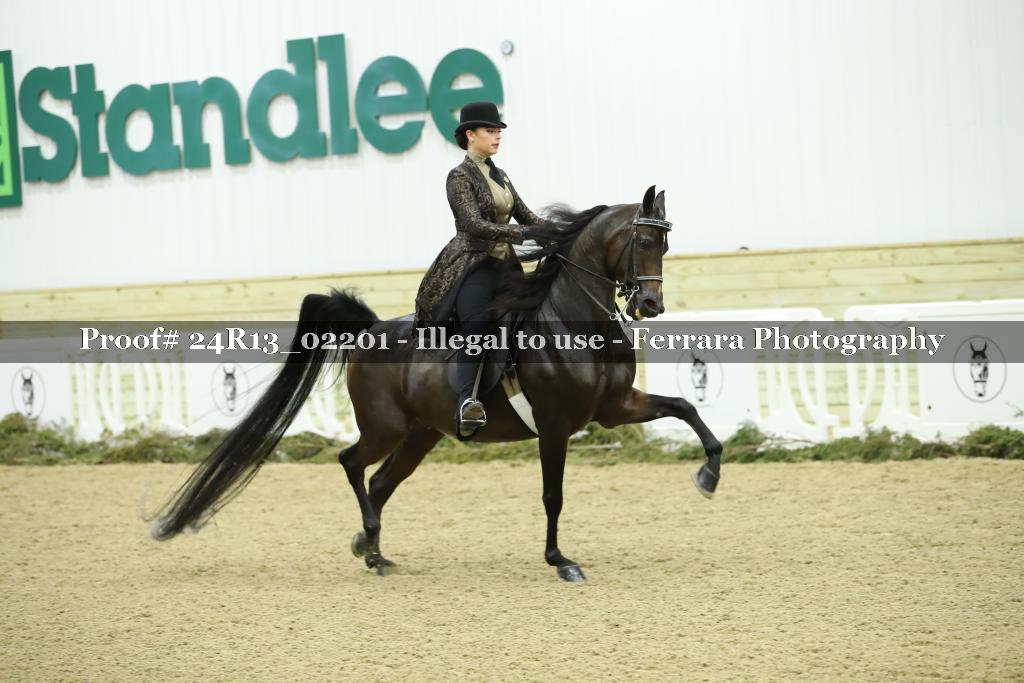 Proof 24R13_02201
