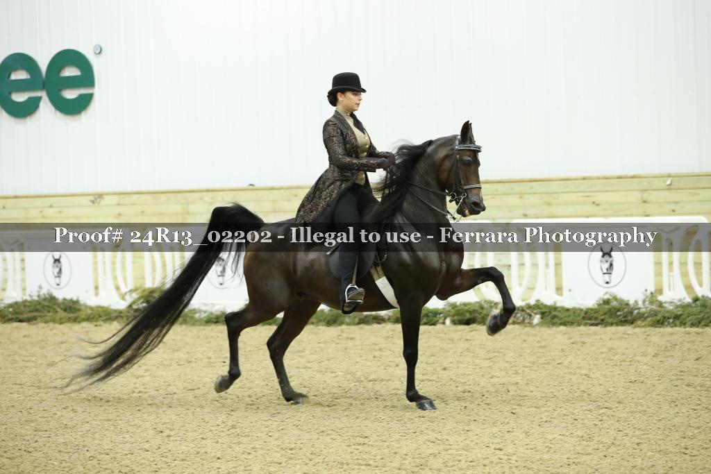 Proof 24R13_02202