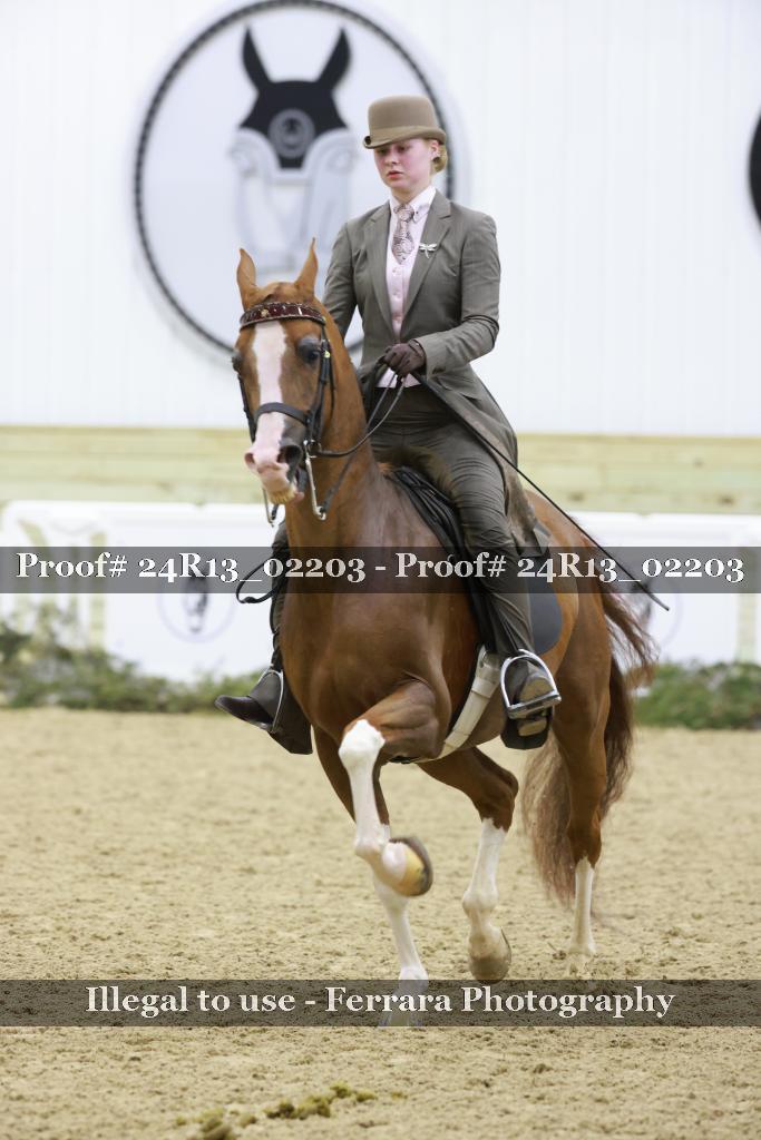 Proof 24R13_02203